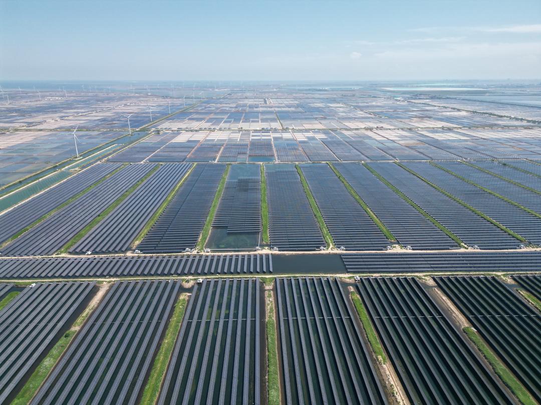 “向日葵”和“捕風者”竟是“發電高手”？